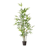 Ghedi Bamboo with 330 Leaves — SantoLusso®