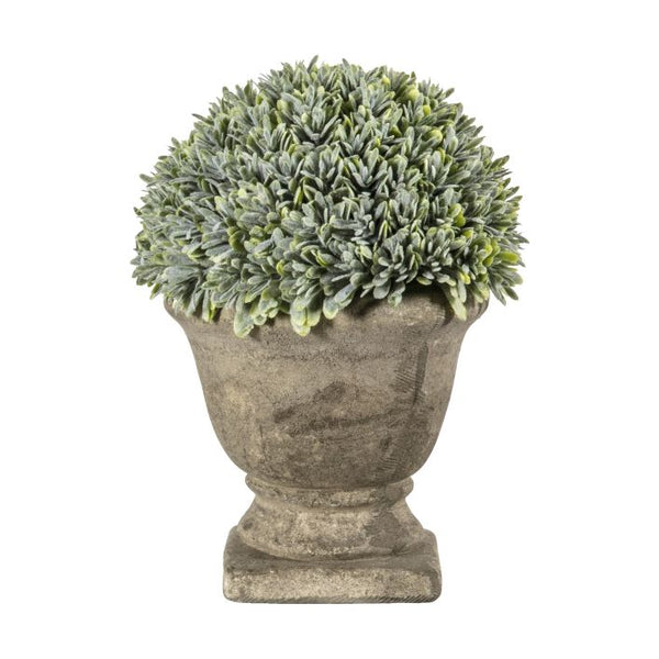 Ghedi Boxwood with Stone Effect Urn — SantoLusso®