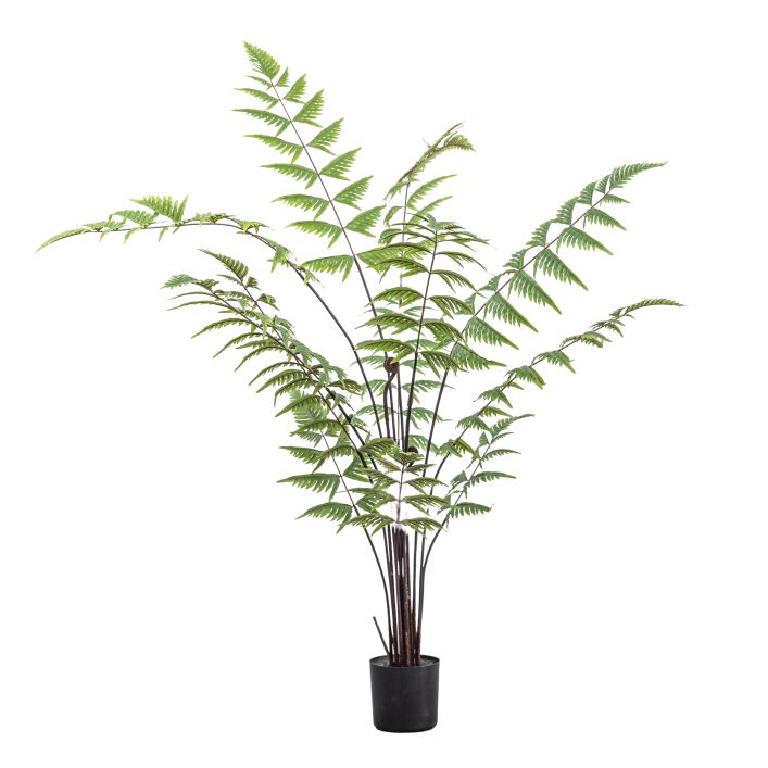 Ghedi Butterfly Fern Small — SantoLusso®