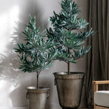 Ghedi Eucalyptus Tree Dusky Green Small — SantoLusso®