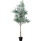 Ghedi Eucalyptus Tree Dusky Green Small — SantoLusso®