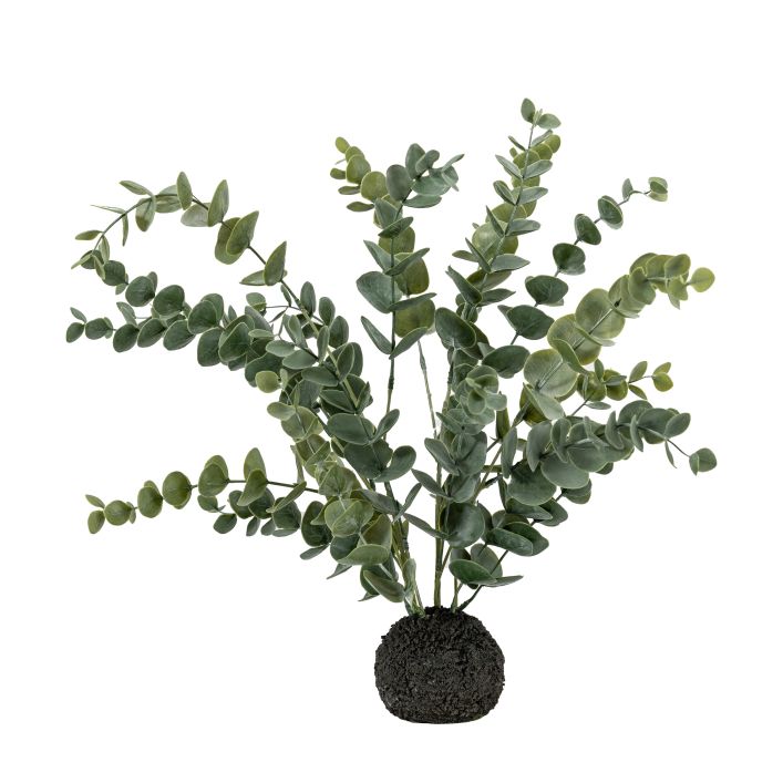 Ghedi Eucalyptus in Soil Grey Green — SantoLusso®