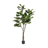 Ghedi Fiddle Tree with 65 Leaves — SantoLusso®