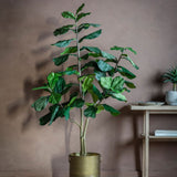 Ghedi Fiddle Tree with 65 Leaves — SantoLusso®