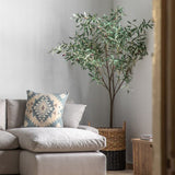 Ghedi Olive Tree Large Green — SantoLusso®