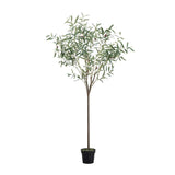 Ghedi Olive Tree Small Green — SantoLusso®