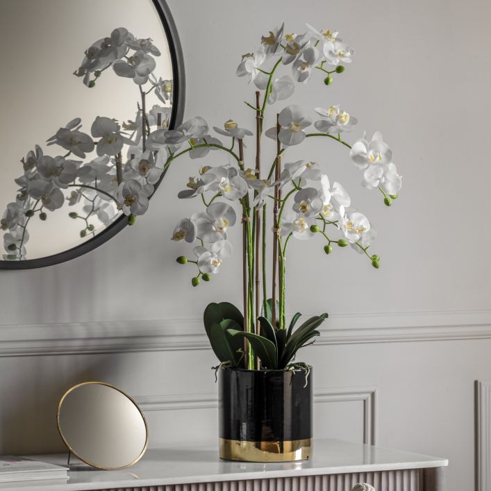 Ghedi Orchid White with Black Gold Pot — SantoLusso®