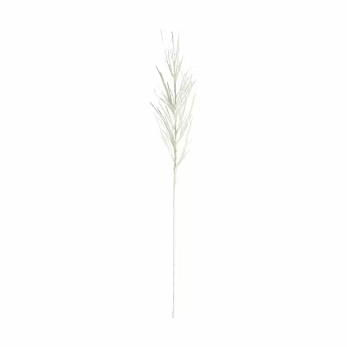 Ghedi Pampas Flocked White (5pk) — SantoLusso®