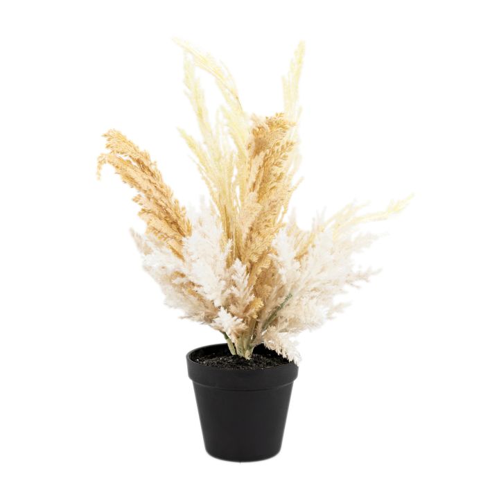 Ghedi Potted Dry Grass — SantoLusso®