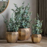 Ghedi Potted Eucalyptus Bush Green Small — SantoLusso®