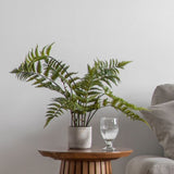 Ghedi Potted Fern in Cement Pot Small — SantoLusso®