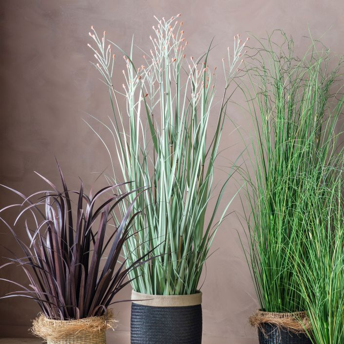 Ghedi Potted Grass with 9 Heads Green/Russet Large — SantoLusso®