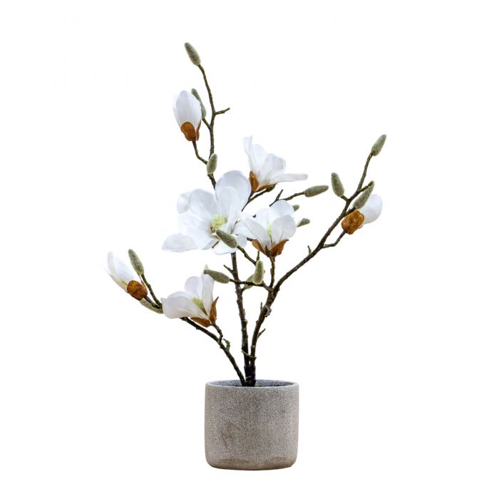 Ghedi Potted Magnolia White — SantoLusso®