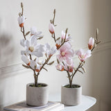 Ghedi Potted Magnolia White — SantoLusso®