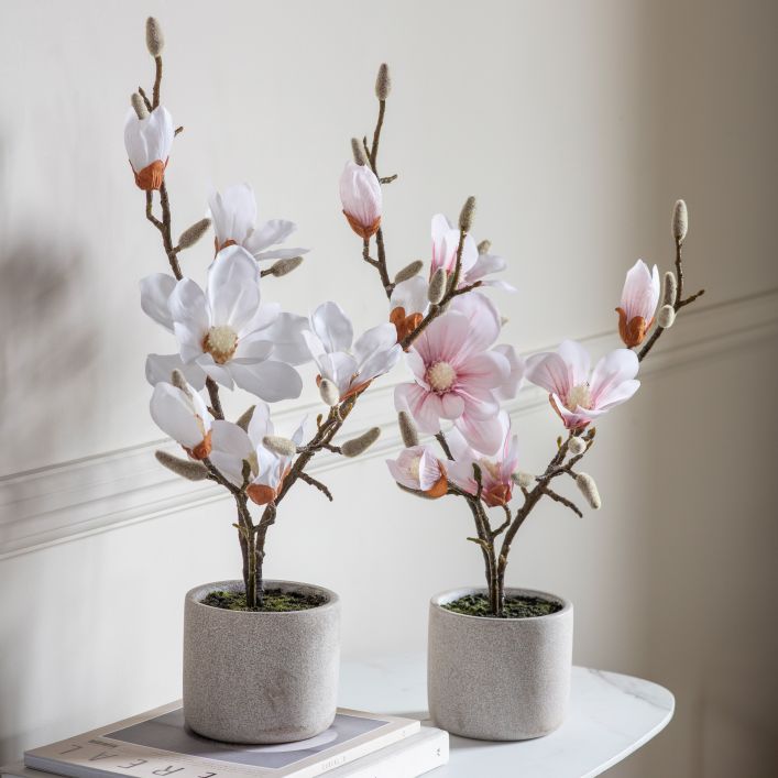 Ghedi Potted Magnolia White — SantoLusso®