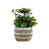 Ghedi Potted Succulents Ceramic Pot Green Brown Large — SantoLusso®