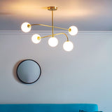 Ghedi Siro 5 Ceiling Light — SantoLusso®