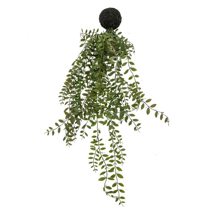 Ghedi Trailing Fern in Soil Green — SantoLusso®