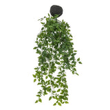 Ghedi Trailing Vine in Soil Green — SantoLusso®