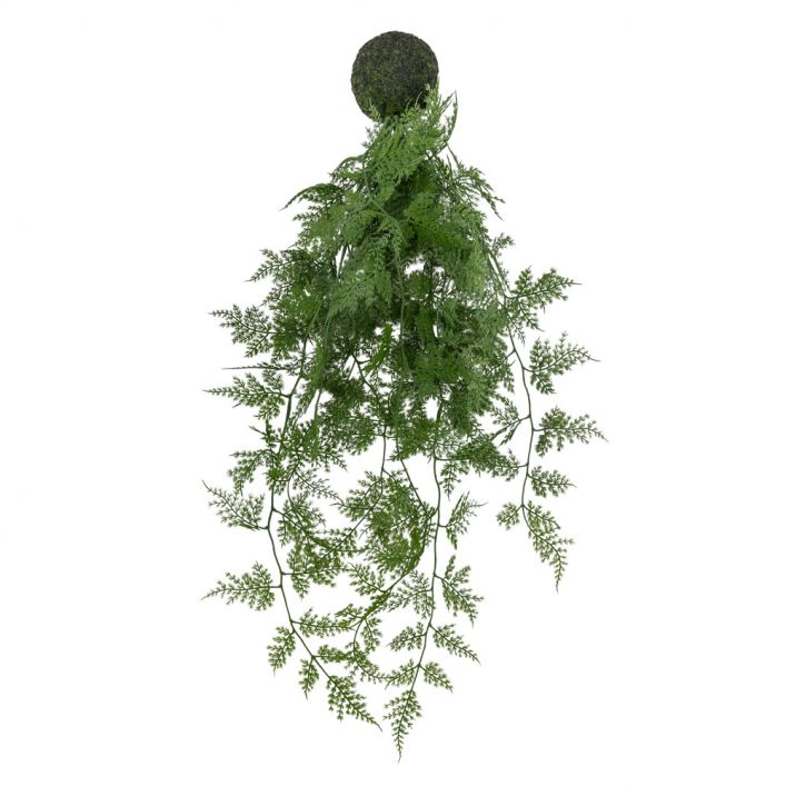 Ghedi Trailing Wood Fern in Soil Green — SantoLusso®