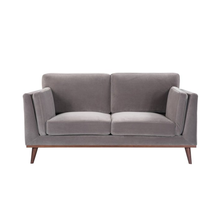 Twenty10 Mickey 2 Seat Sofa in Stone Grey Velvet - SantoLusso